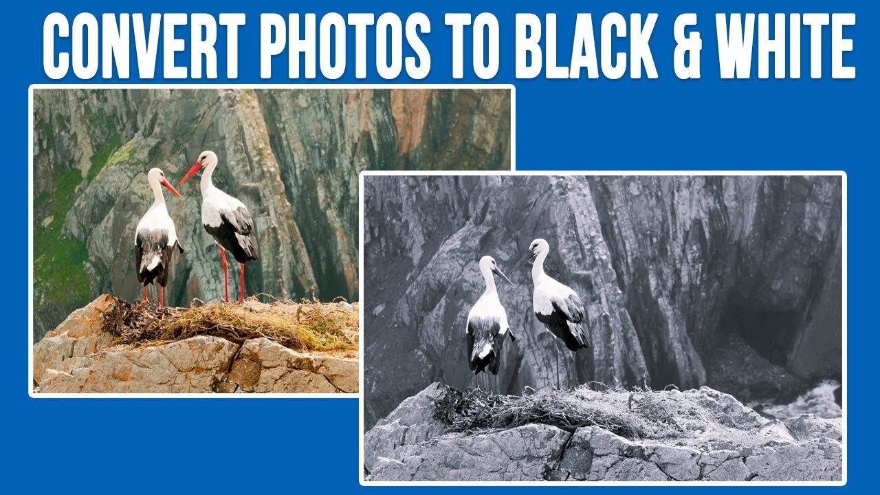 black and white image converter online free
