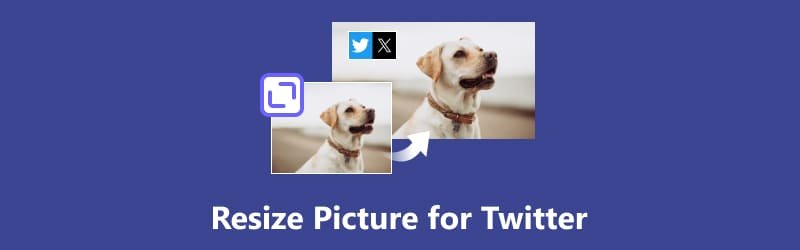 resize image for twitter x online free